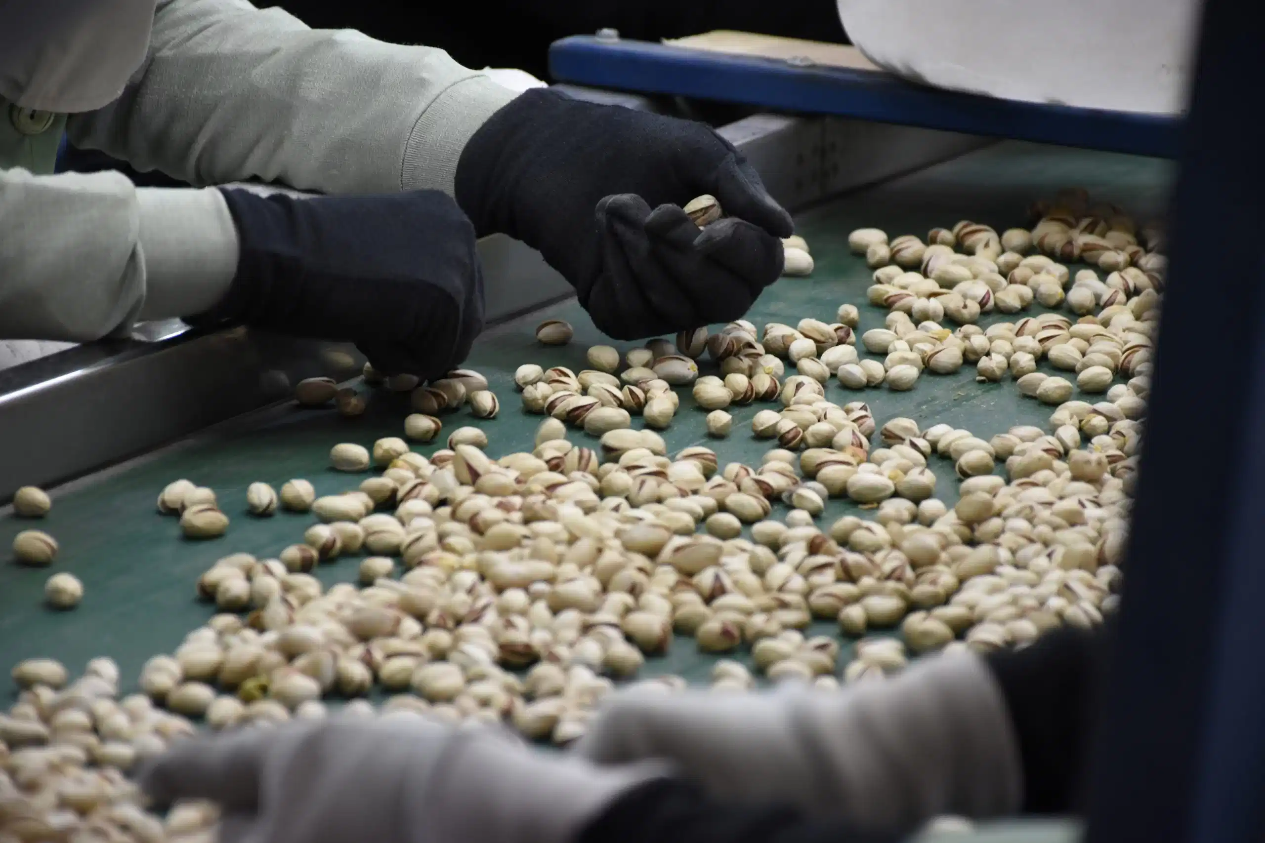 NITC Quality control team checking the product quality