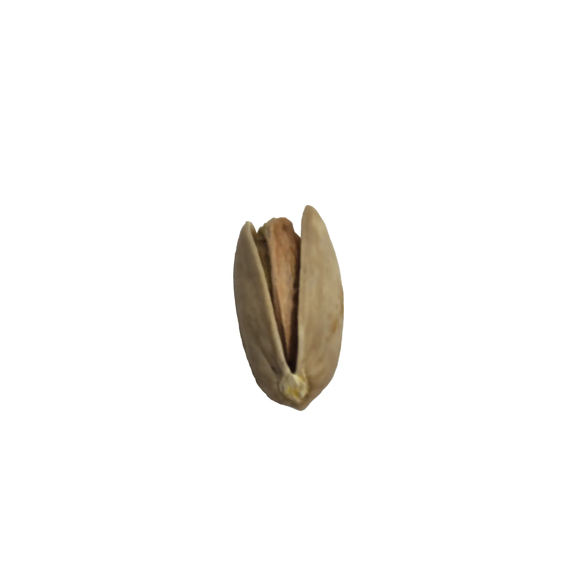 Akbari Pistachio Size and Shape