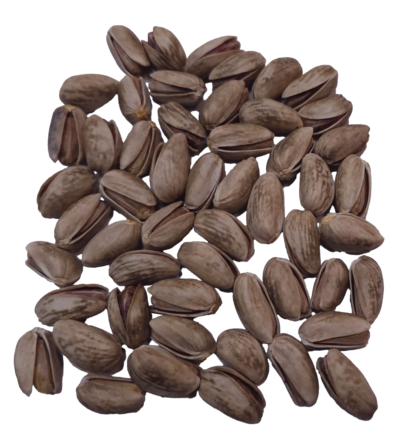 What NITC counts as Dark Stained