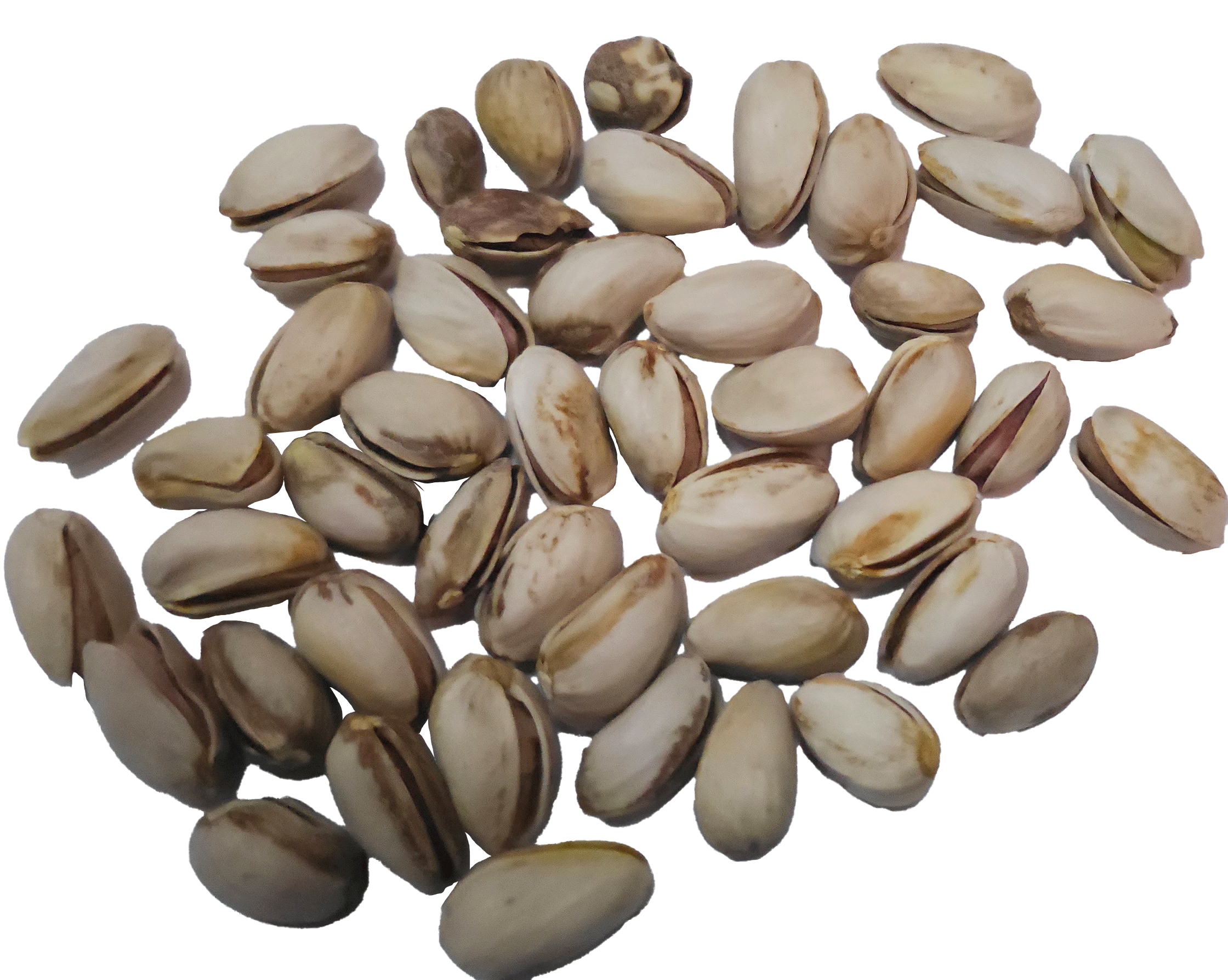 What NITC counts as Discoloration Light Yellow