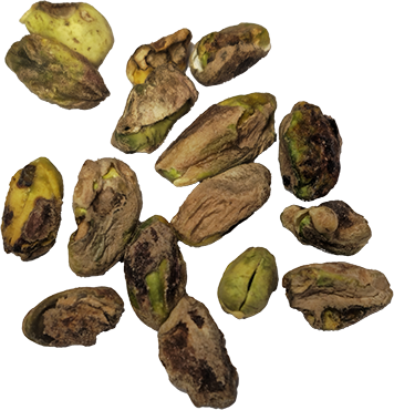 What NITC Counts as Moldy Kernel (fungus)