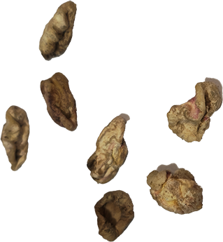 What NITC Counts as Not Fully Developed