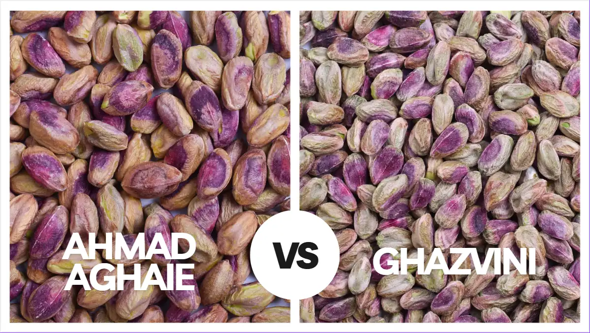 Visual differences between ghazvini and AhmadAghaie pistachio kernels