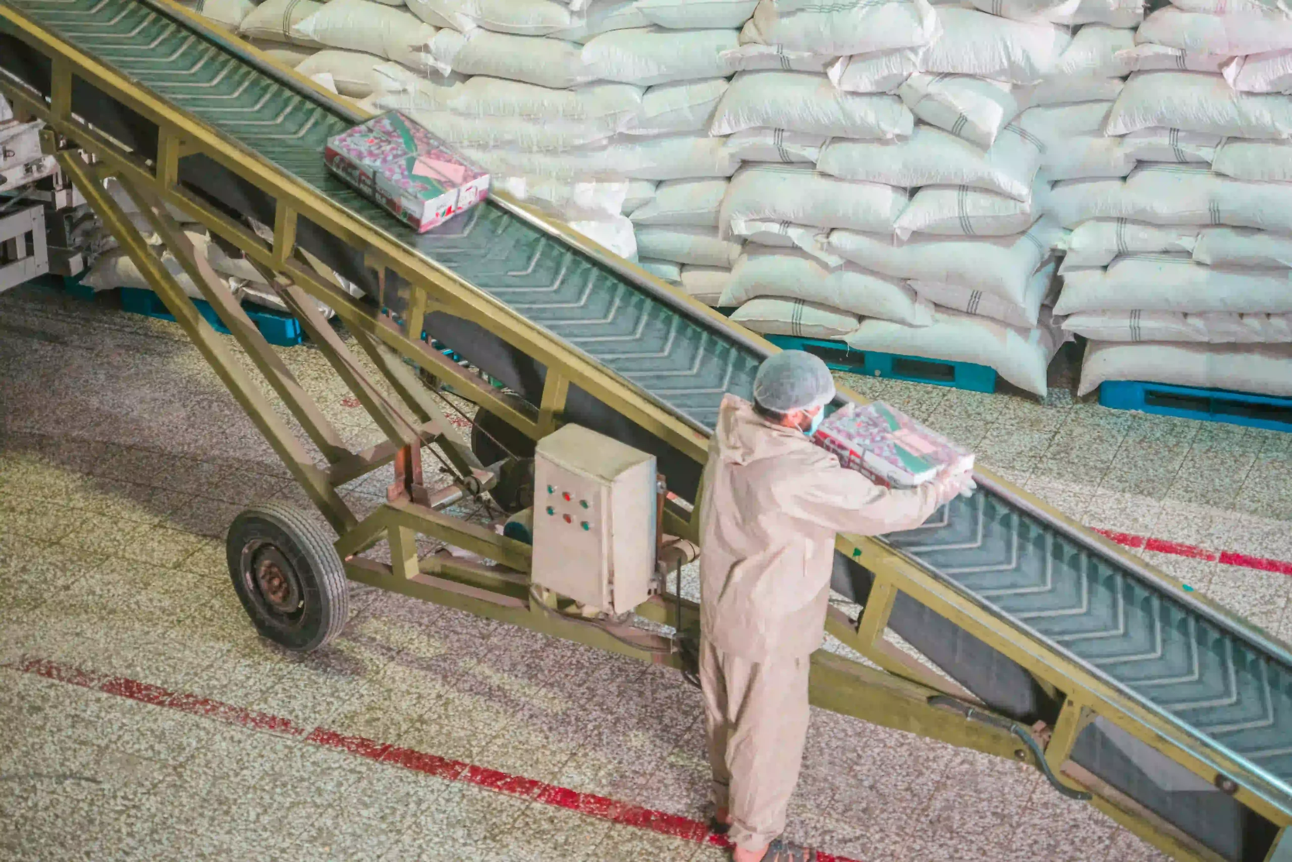 workers processing Iranian ghazvini pistachio kernels