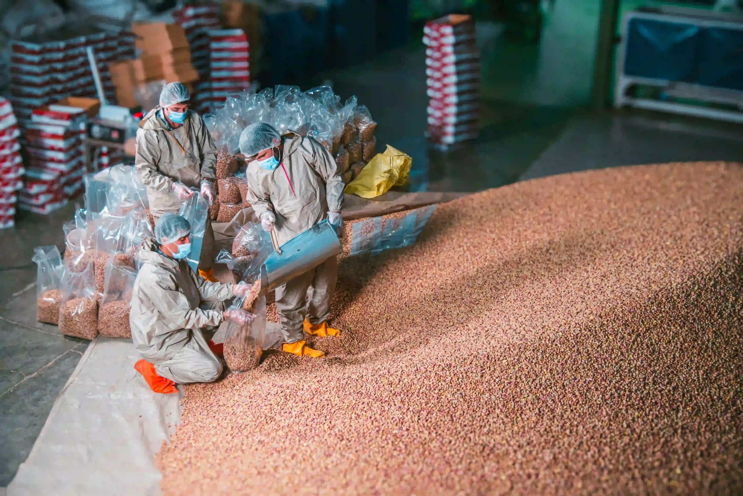 Bulk pistachio order getting ready for export