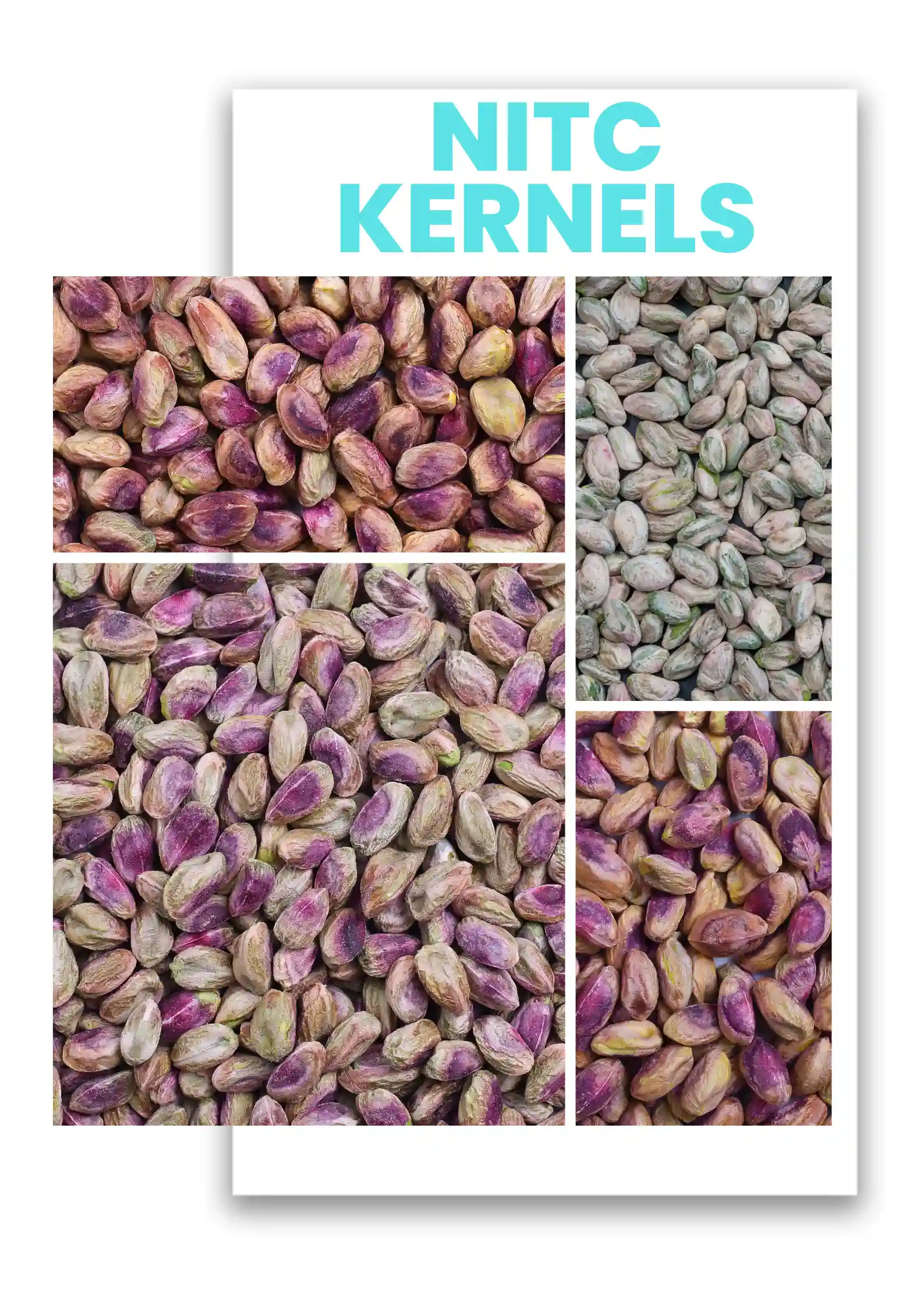 NITC Pistachio kernels for bulk order exports
