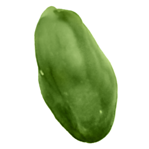 the cleanness and smoothness of green kernel skin