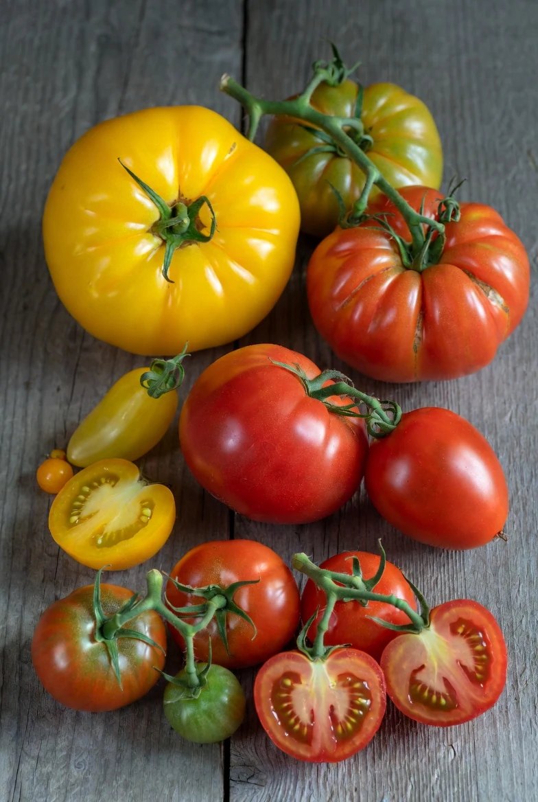 Special types of tomato