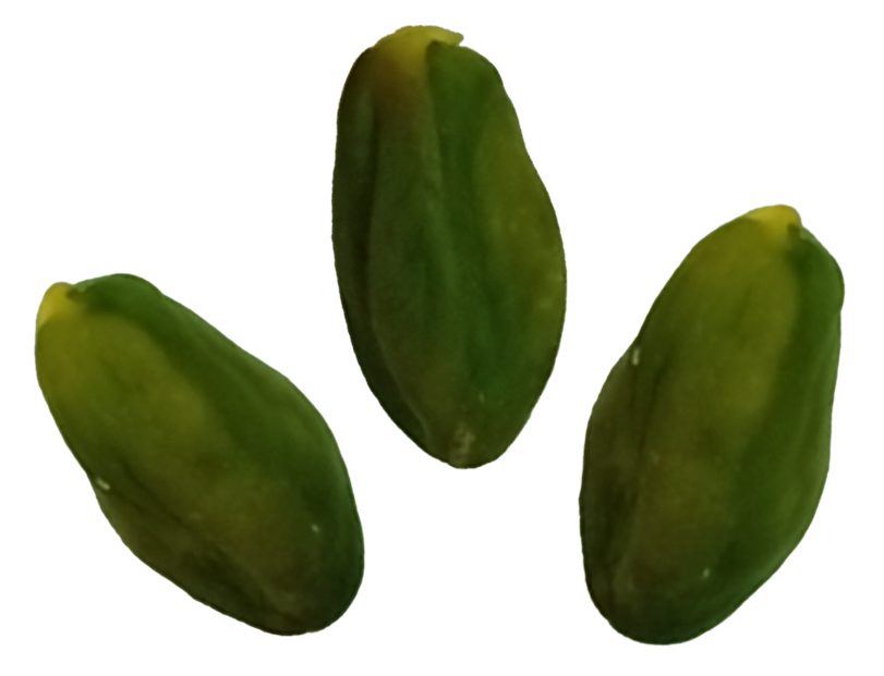 kaal kernels with similar color, shape and sizes