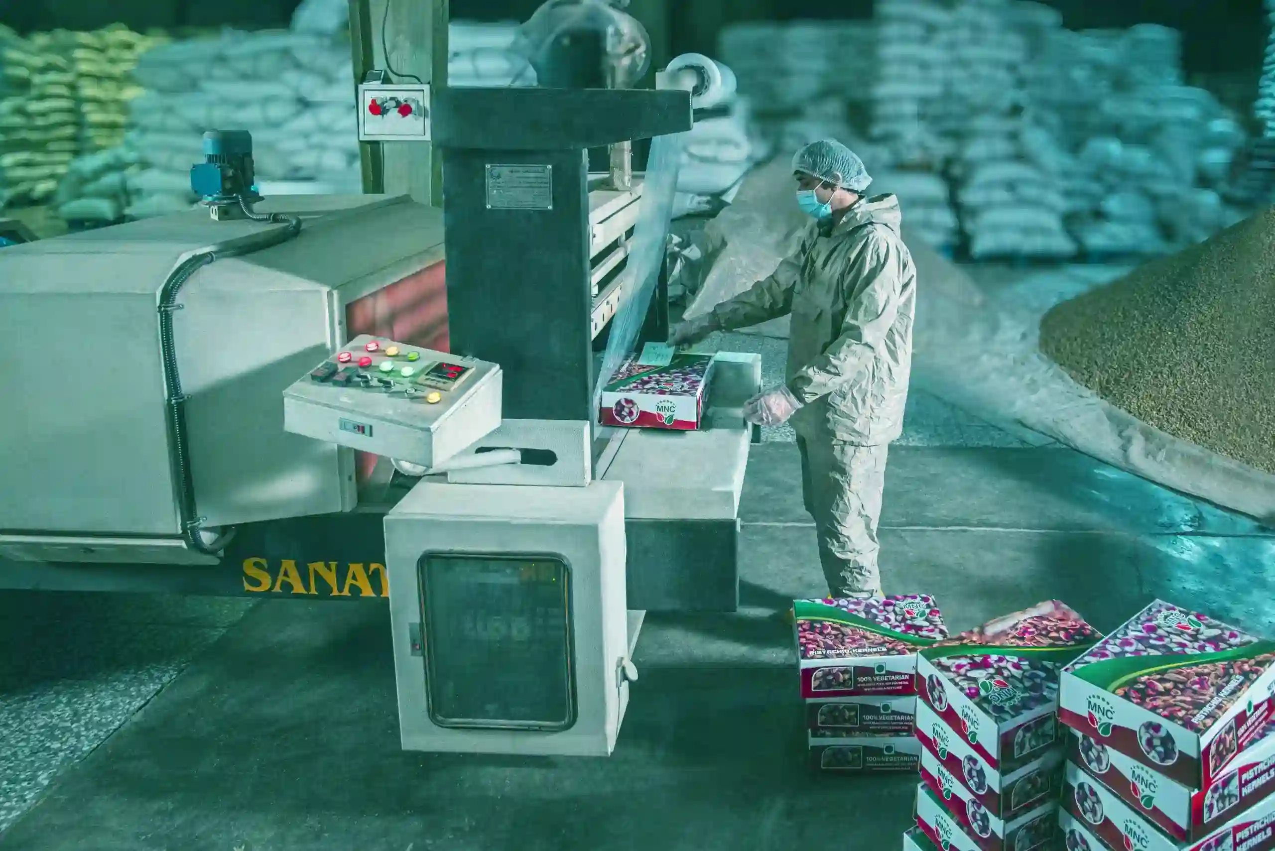 NITC worker packing pistachio kernels into cartons